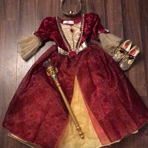 Disney Elena of Avalor Dress & Accessories